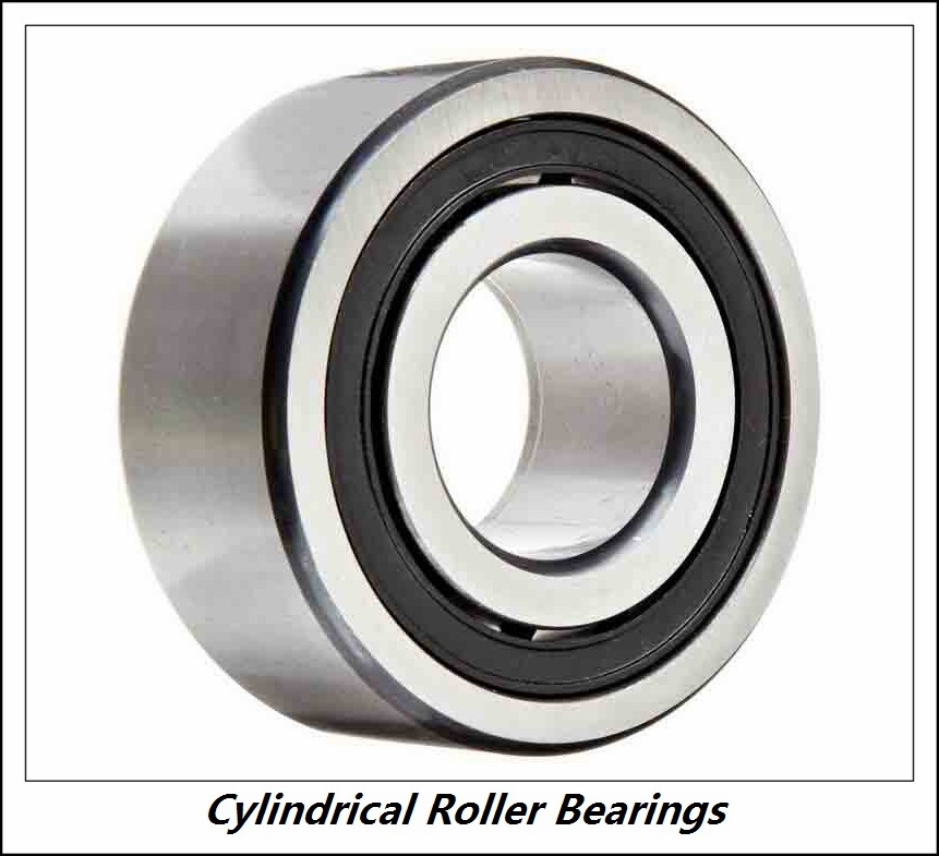 8.661 Inch | 220 Millimeter x 13.386 Inch | 340 Millimeter x 3.543 Inch | 90 Millimeter  CONSOLIDATED BEARING NU-3044-KM C/5  Cylindrical Roller Bearings