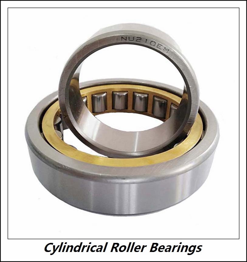 2.559 Inch | 65 Millimeter x 5.512 Inch | 140 Millimeter x 1.299 Inch | 33 Millimeter  CONSOLIDATED BEARING NF-313  Cylindrical Roller Bearings
