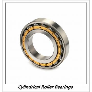 0.984 Inch | 25 Millimeter x 2.047 Inch | 52 Millimeter x 0.591 Inch | 15 Millimeter  CONSOLIDATED BEARING NJ-205E M C/3  Cylindrical Roller Bearings
