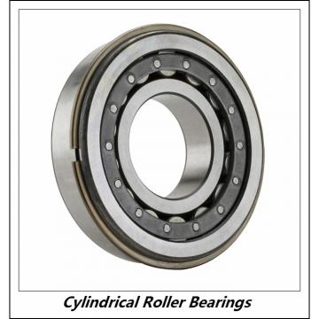 2.362 Inch | 60 Millimeter x 4.331 Inch | 110 Millimeter x 0.866 Inch | 22 Millimeter  CONSOLIDATED BEARING NJ-212  Cylindrical Roller Bearings