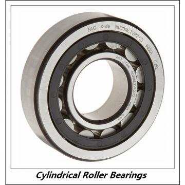 0.787 Inch | 20 Millimeter x 1.85 Inch | 47 Millimeter x 0.551 Inch | 14 Millimeter  CONSOLIDATED BEARING NJ-204E C/3  Cylindrical Roller Bearings