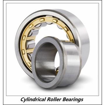 0.984 Inch | 25 Millimeter x 2.047 Inch | 52 Millimeter x 0.591 Inch | 15 Millimeter  CONSOLIDATED BEARING NJ-205E M  Cylindrical Roller Bearings