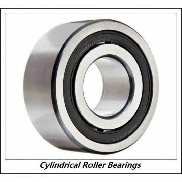 1.575 Inch | 40 Millimeter x 3.543 Inch | 90 Millimeter x 0.906 Inch | 23 Millimeter  CONSOLIDATED BEARING NU-308 C/3  Cylindrical Roller Bearings