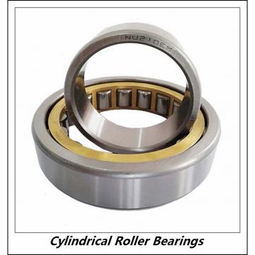 6.693 Inch | 170 Millimeter x 10.236 Inch | 260 Millimeter x 2.638 Inch | 67 Millimeter  CONSOLIDATED BEARING NU-3034-KM C/5  Cylindrical Roller Bearings