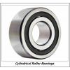 0.787 Inch | 20 Millimeter x 1.85 Inch | 47 Millimeter x 0.551 Inch | 14 Millimeter  CONSOLIDATED BEARING NJ-204E  Cylindrical Roller Bearings #4 small image