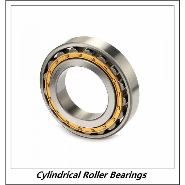 0.984 Inch | 25 Millimeter x 2.047 Inch | 52 Millimeter x 0.591 Inch | 15 Millimeter  CONSOLIDATED BEARING NJ-205E M C/4  Cylindrical Roller Bearings #2 image